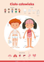 Anatomia człowieka dla dzieci